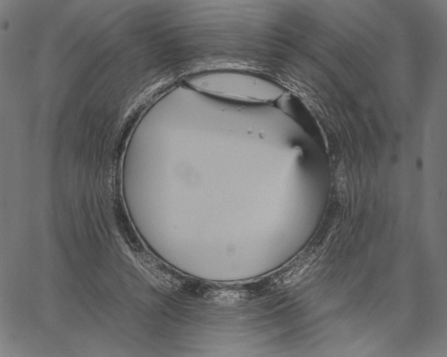 X0000066940352200604211755