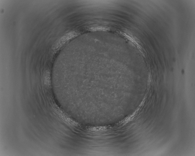 X0000066940353200604211755