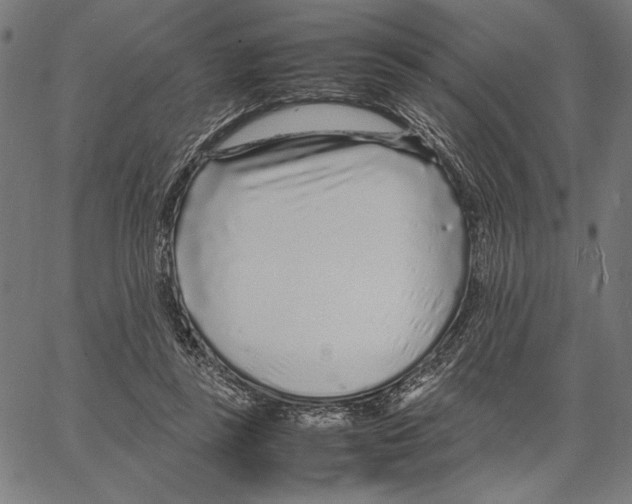 X0000066940355200604211755