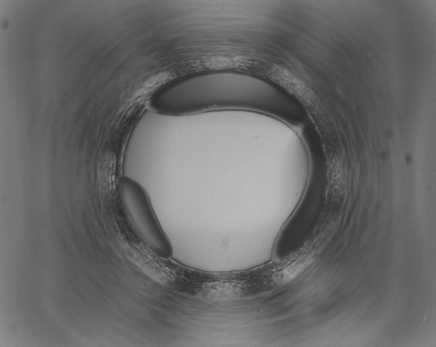 X0000066940356200604211756