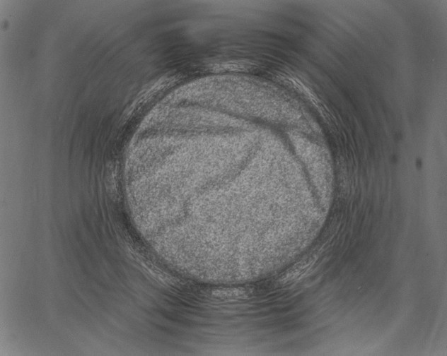 X0000066940357200604211756