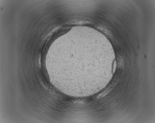 X0000066940358200604211756