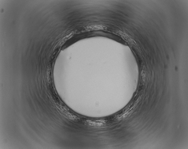 X0000066940359200604211756