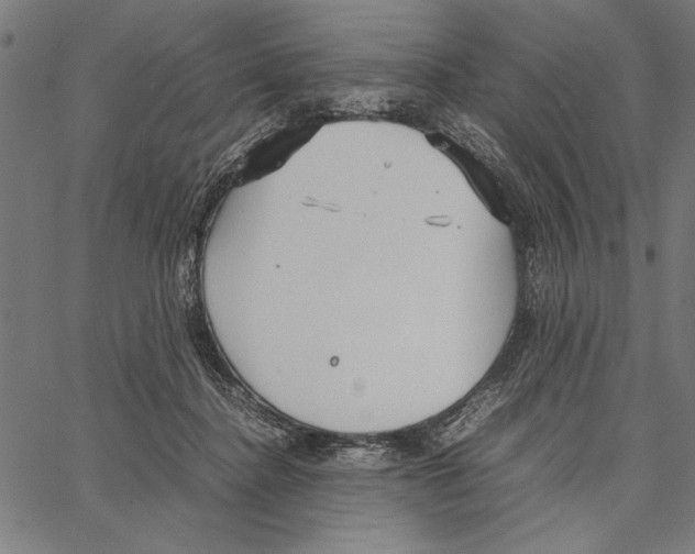 X0000066940364200604211756