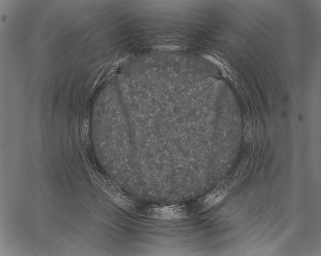 X0000066940365200604211756