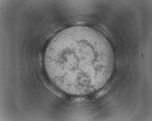 X0000066940366200604211756