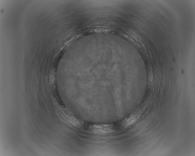 X0000066940367200604211756