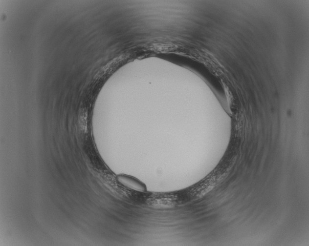 X0000066940368200604211756