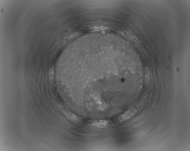 X0000066940369200604211756