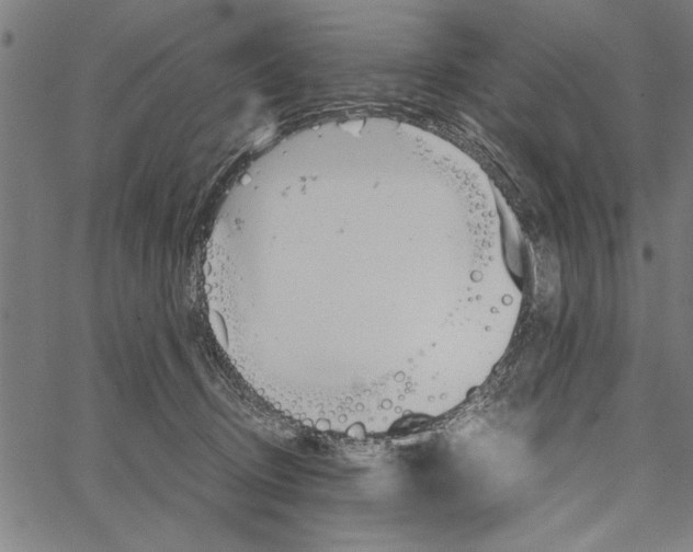 X0000066940370200604211756