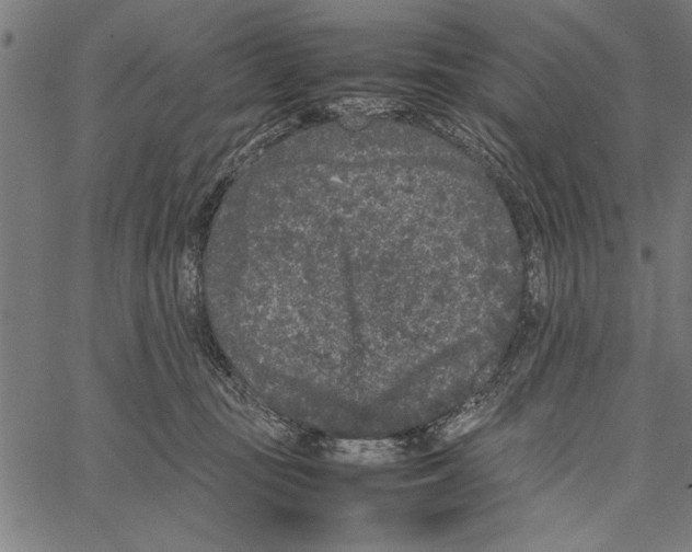 X0000066940371200604211756