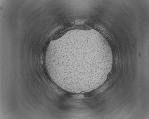 X0000066940374200604211756