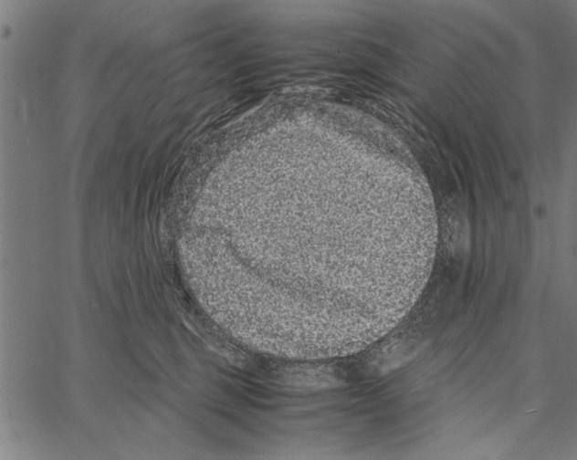 X0000066940375200604211756