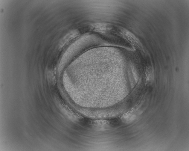 X0000066940376200604211756