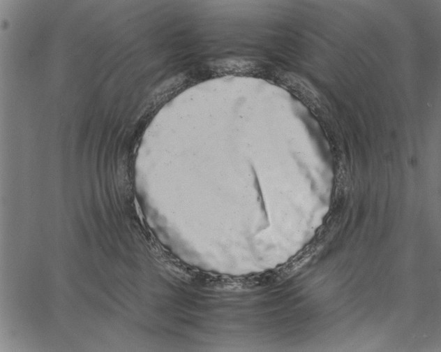 X0000066940377200604211756