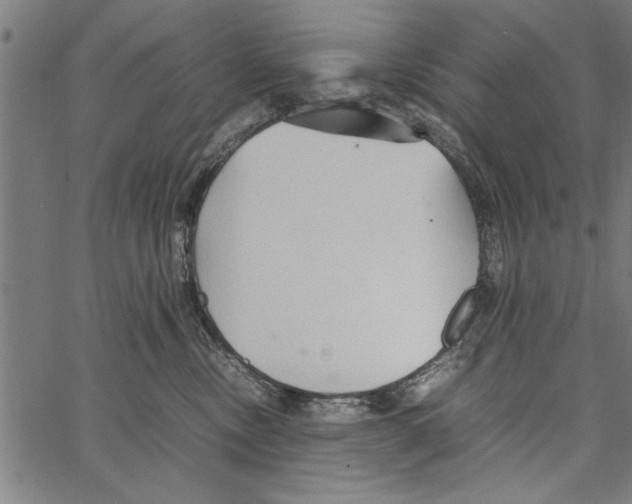 X0000066940378200604211756