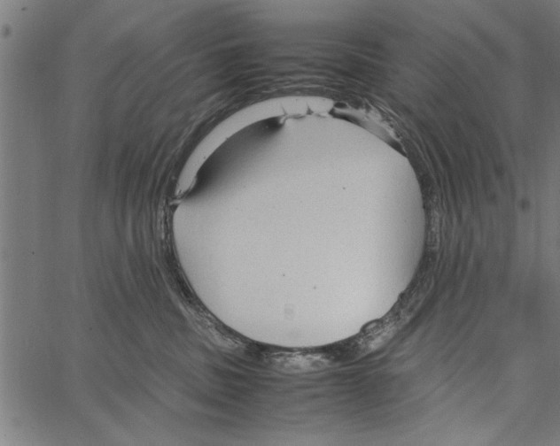 X0000066940379200604211756