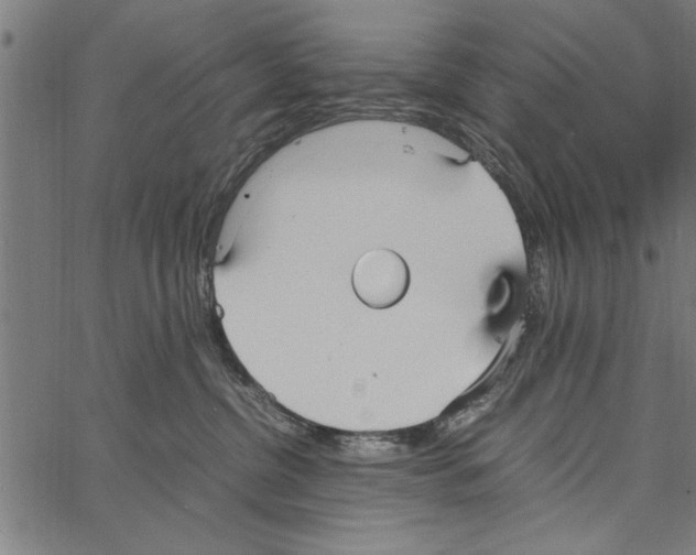 X0000066940380200604211756