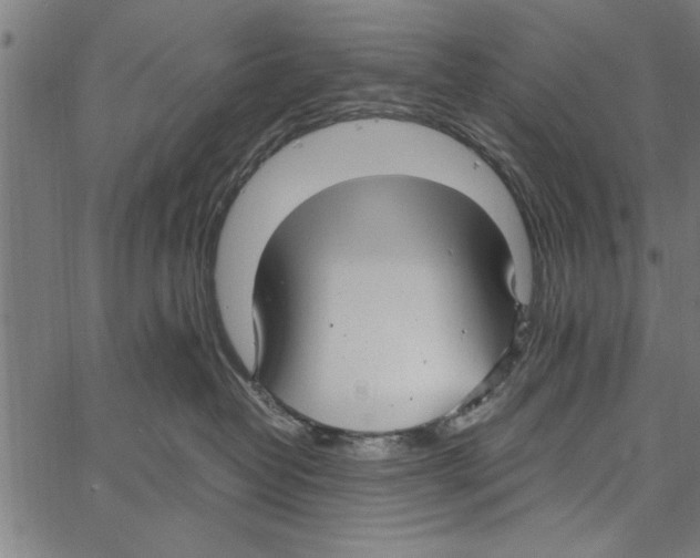 X0000066940382200604211756