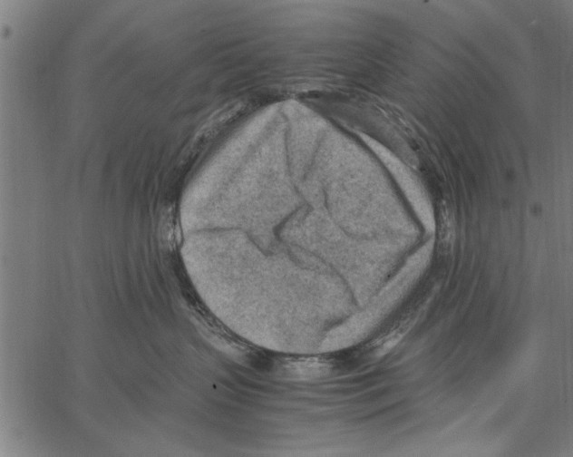 X0000066940383200604211756