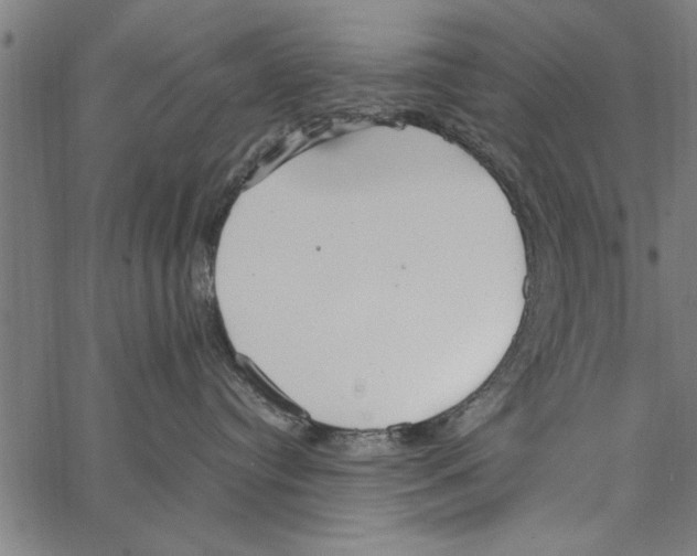 X0000066940384200604211756