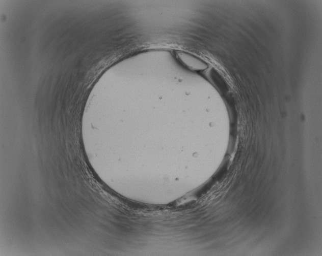 X0000066940385200604211755