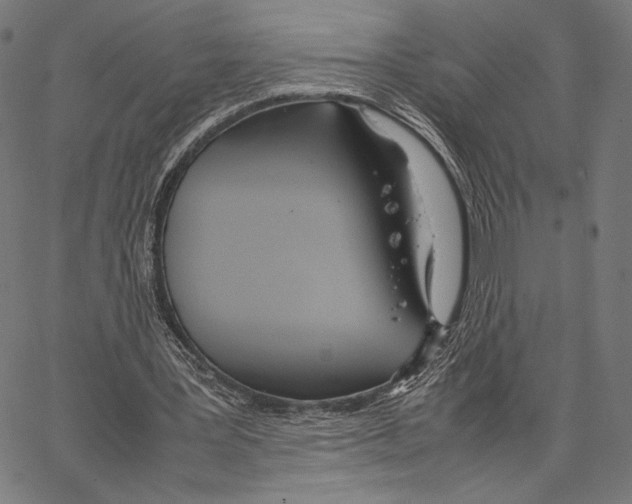 X0000066940387200604211755