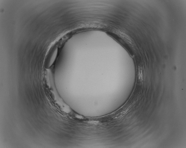 X0000066940388200604211755