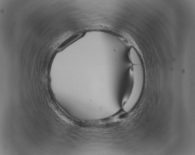 X0000066940389200604211755