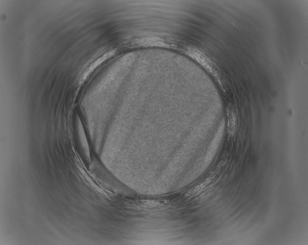 X0000066940390200604211755