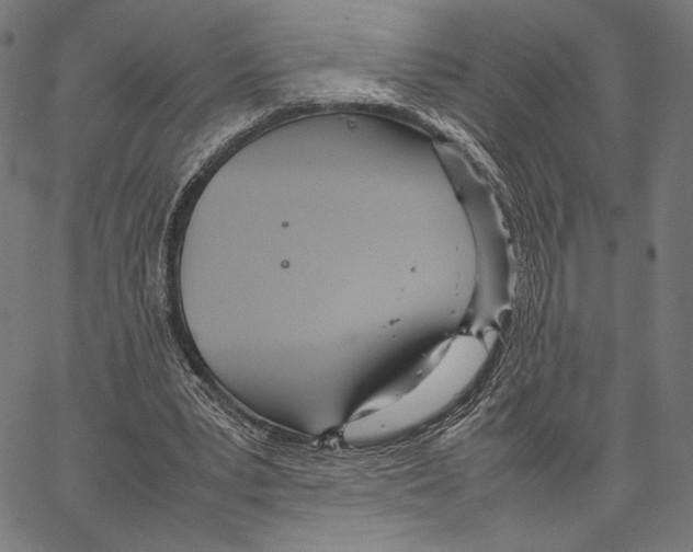 X0000066940391200604211755