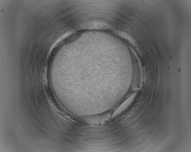 X0000066940392200604211755