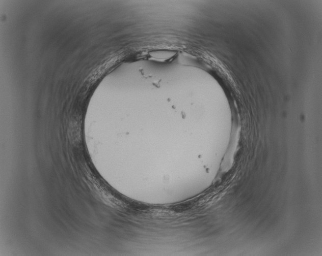 X0000066940393200604211755