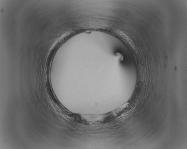 X0000066940395200604211755