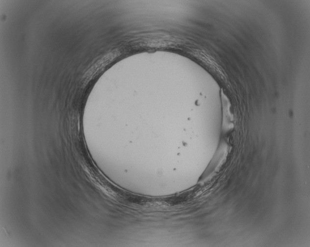 X0000066940397200604211755