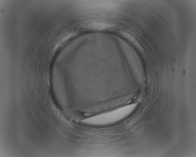 X0000066940399200604211755