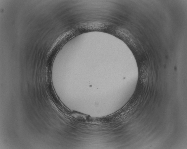 X0000066940400200604211755