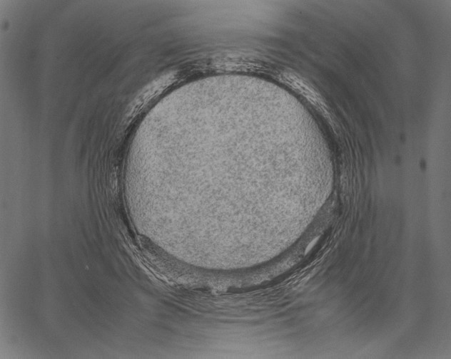 X0000066940401200604211755