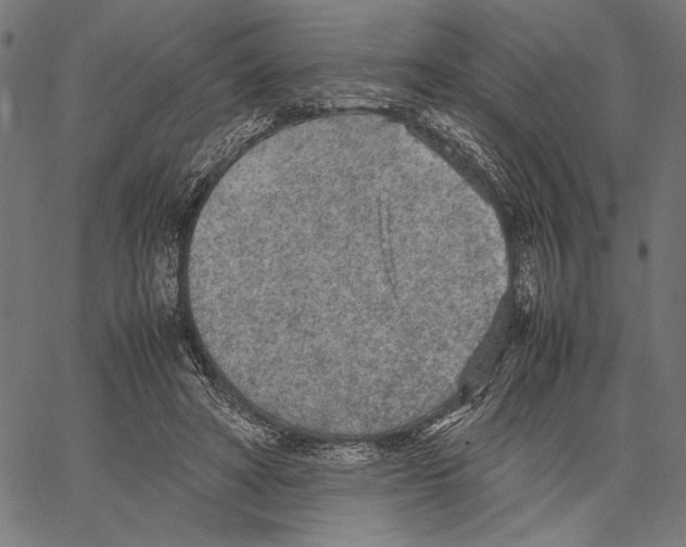 X0000066940402200604211755