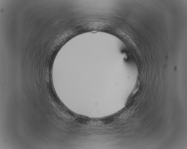 X0000066940403200604211755