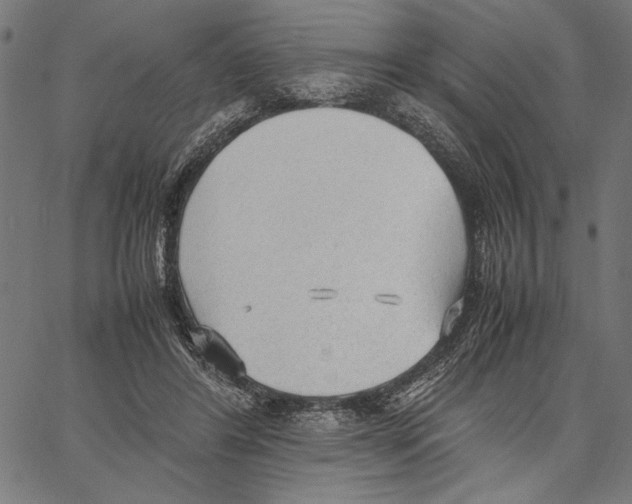 X0000066940404200604211755