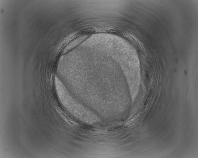 X0000066940405200604211755