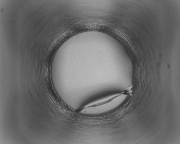 X0000066940407200604211755