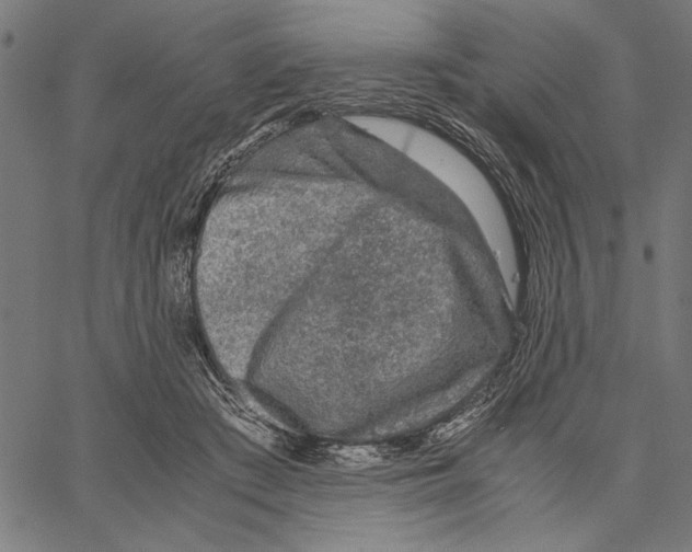 X0000066940409200604211755