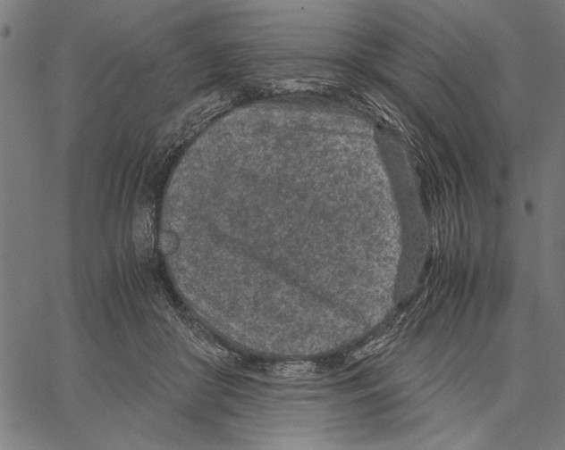 X0000066940410200604211755