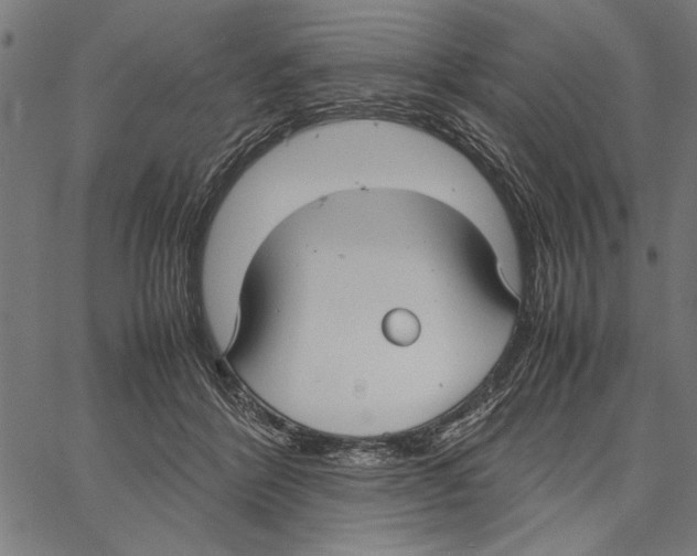 X0000066940412200604211755