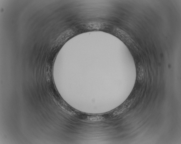 X0000066940414200604211755