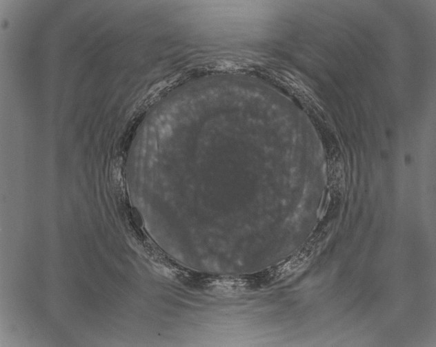 X0000066940415200604211755