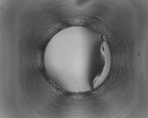 X0000066940416200604211755