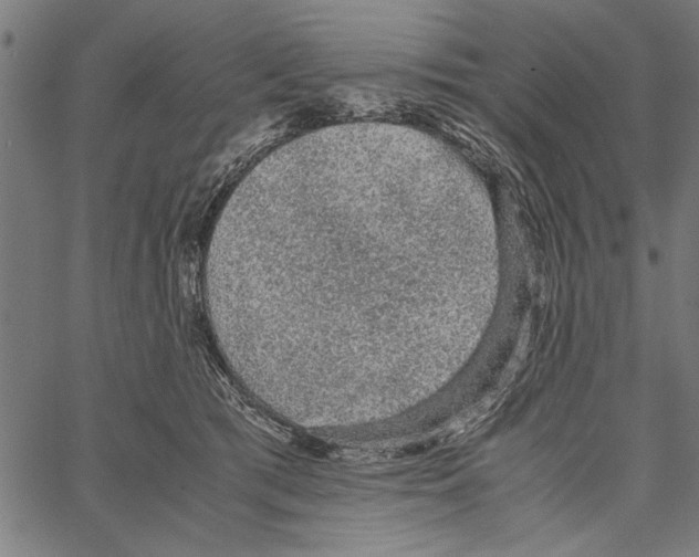 X0000066940417200604211755